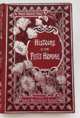 Histoire d'un petit homme