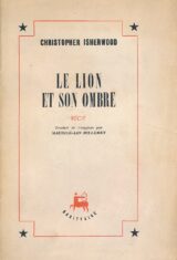 Le lion et son ombre