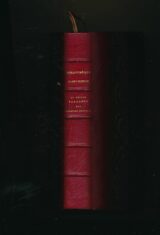Le grand parangon des nouvelles nouvelles composé par Nicolas de Troyes et publié d'après le manuscrit original par Emile Mabille