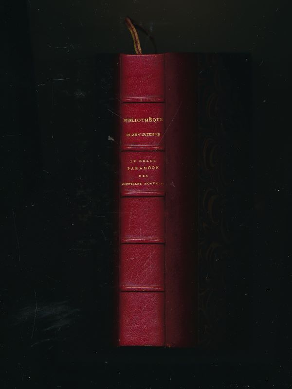 Le grand parangon des nouvelles nouvelles composé par Nicolas de Troyes et publié d'après le manuscrit original par Emile Mabille