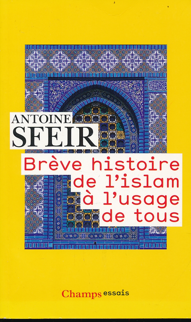 Brève histoire de l'Islam à l'usage de tous