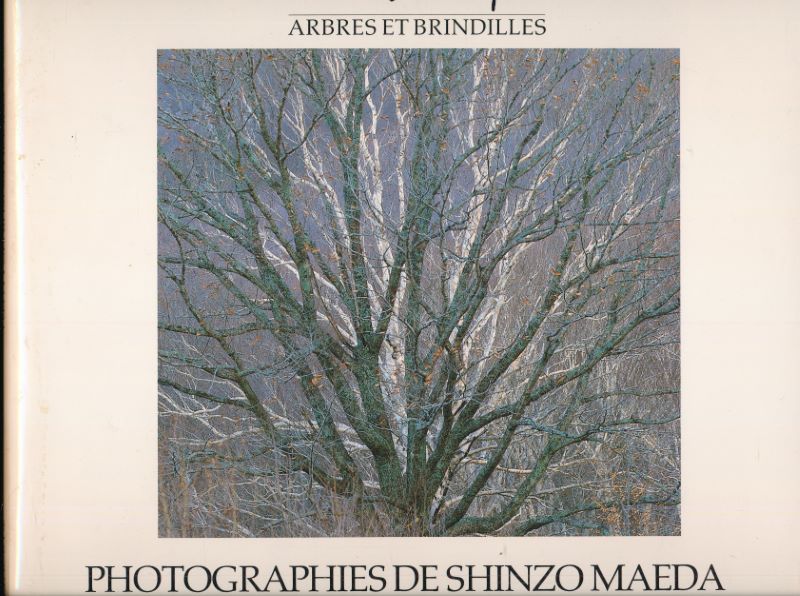 Arbres et brindilles