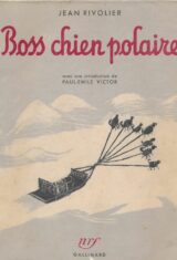Boss chien polaire