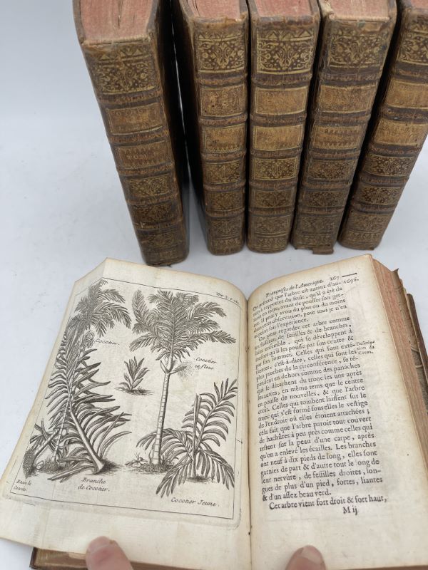Nouveau voyage aux isles de l'Amérique contenant l'histoire naturelle de ces pays, l'Origine, les Moeurs, la Religion et le Gouvernement des Habitans anciens et modernes. Les Guerres et les Evenemens singuliers qui y sont arrivez pendant le séjour que l'Auteur y a fait