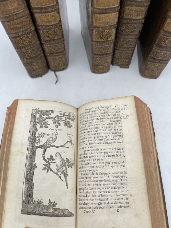 Nouveau voyage aux isles de l'Amérique contenant l'histoire naturelle de ces pays, l'Origine, les Moeurs, la Religion et le Gouvernement des Habitans anciens et modernes. Les Guerres et les Evenemens singuliers qui y sont arrivez pendant le séjour que l'Auteur y a fait