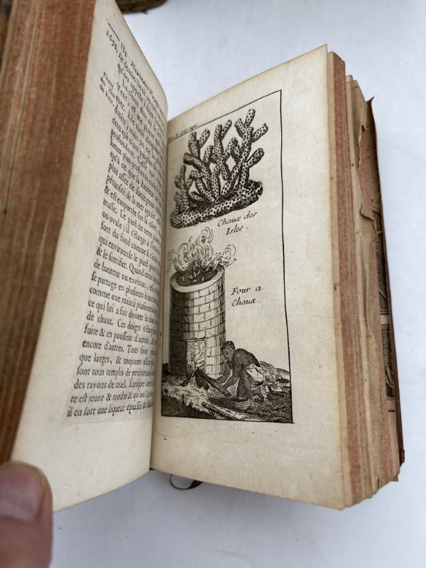 Nouveau voyage aux isles de l'Amérique contenant l'histoire naturelle de ces pays, l'Origine, les Moeurs, la Religion et le Gouvernement des Habitans anciens et modernes. Les Guerres et les Evenemens singuliers qui y sont arrivez pendant le séjour que l'Auteur y a fait
