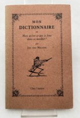 Mon dictionnaire ou qu'est-ce que je fous dans ce merdier ?
