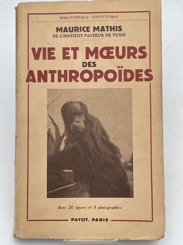 Vie et moeurs des anthropoides
