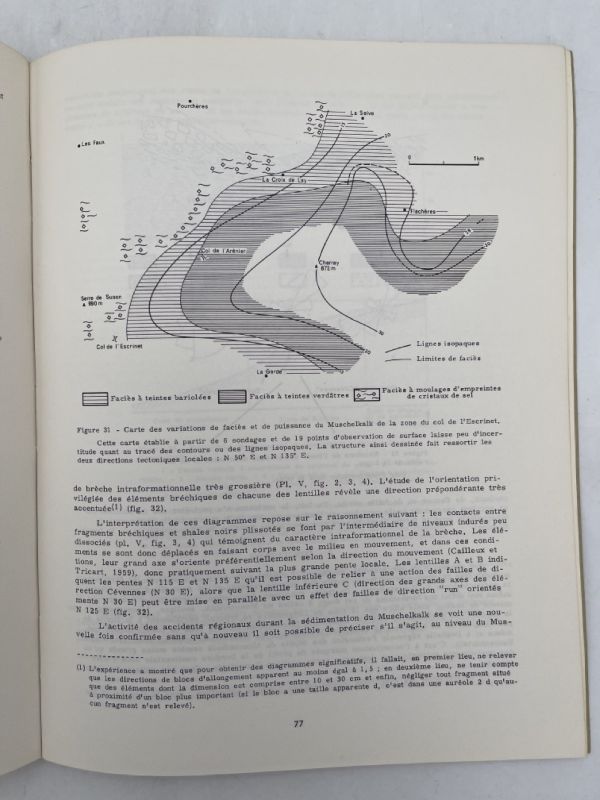 Première Contribution à l'étude sédimentologique et géochimique du TRIAS ARDECHOIS