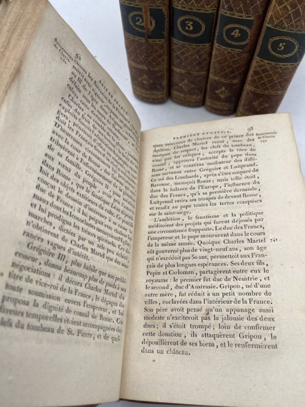 La France sous ses Rois ; essai historique sur les causes qui ont préparé et consommé la chute des trois premoières dynasties