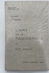 L'art de la taxidermie au XXe siècle
