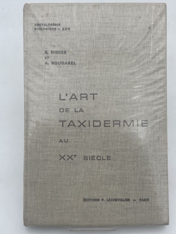 L'art de la taxidermie au XXe siècle