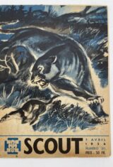 Scout. N°311